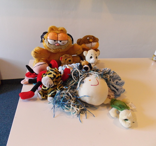 DSCN6295.JPG