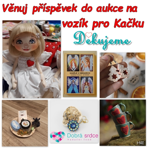 Výzva Kačka2.jpg